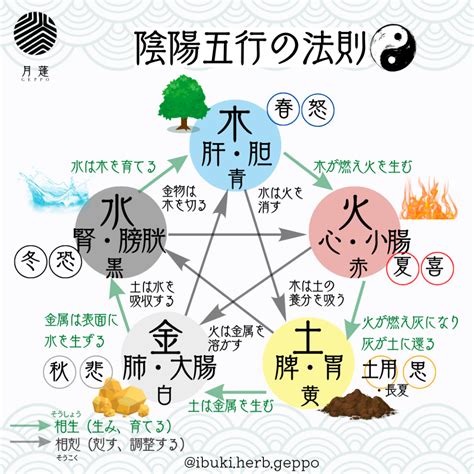 五行論 表|陰陽五行説 – 陰陽道・五行説をわかりやすく解説【図。